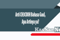 Arti CH3COOH Bahasa Gaul Apa Artinya ya