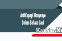 Arti Cupapi Monyenyo Dalam Bahasa Gaul