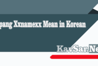 Jepang Xxnamexx Mean in Korean