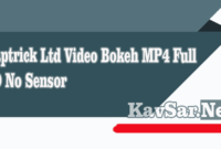 Waptrick Ltd Video Bokeh MP4 Full HD No Sensor