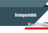 Bio Instagram Aesthetic