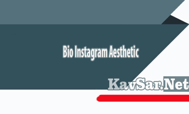 Bio Instagram Aesthetic