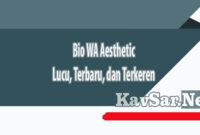 Bio WA Aesthetic Lucu Terbaru dan Terkeren