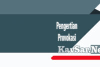 Pengertian Provokasi