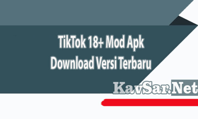 TikTok 18+ Mod Apk Download Versi Terbaru