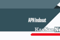 APN Indosat