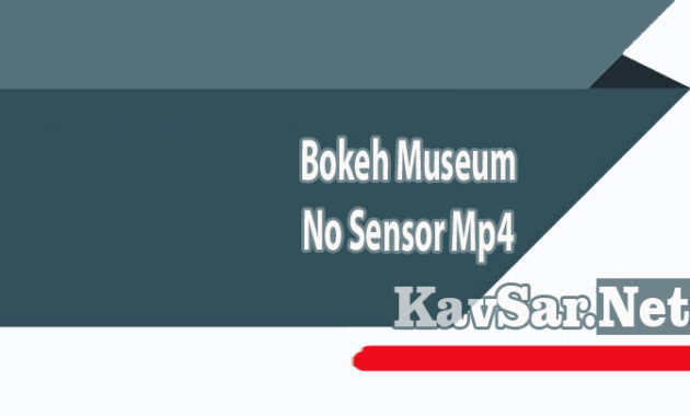 Bokeh Museum No Sensor Mp4