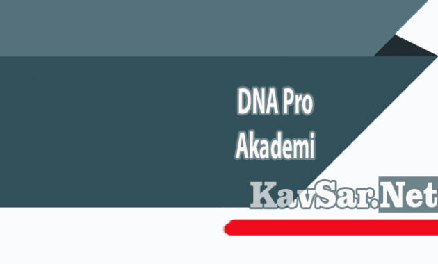 DNA Pro Akademi