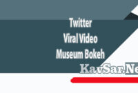 Twitter Viral Video Museum Bokeh