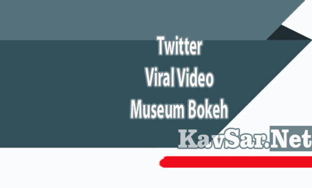 Twitter Viral Video Museum Bokeh
