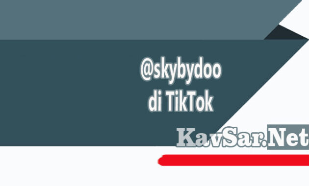 @skybydoo di TikTok