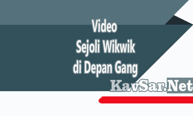 Video Sejoli Wikwik di Depan Gang