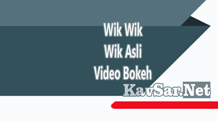 Wik Wik Wik Asli Video Bokeh
