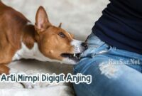 Arti-Mimpi-Digigit-Anjing