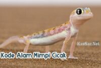 Kode-Alam-Mimpi-Cicak