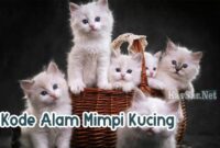 Kode-Alam-Mimpi-Kucing