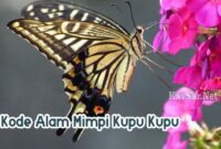 Kode-Alam-Mimpi-Kupu-Kupu