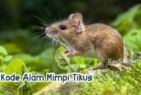 Kode-Alam-Mimpi-Tikus